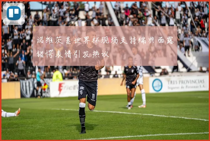 诺维茨基世界杯现场支持瑞典面露错愕表情引发热议